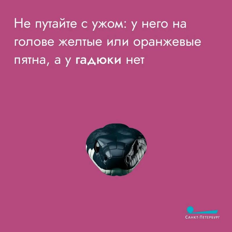 Любите прогулки на природе? Любите и встречи с «местными жителями» Любите прогулки на природе? Любите и встречи с «местными жителями»