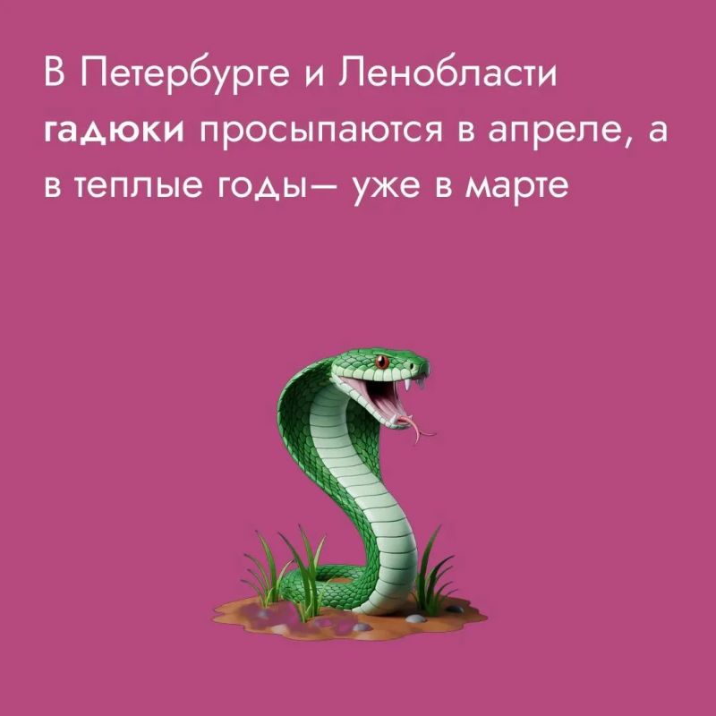 Любите прогулки на природе? Любите и встречи с «местными жителями»
