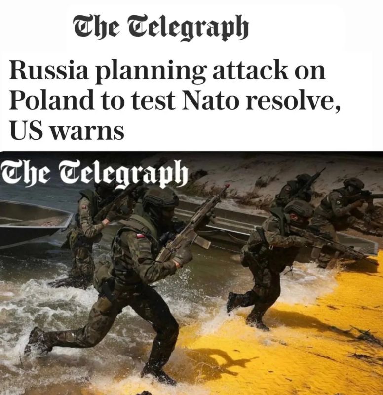 Михаил Онуфриенко: Британский Telegraph пишет, что «Россия может напасть на Польшу в ближайшие месяцы» и единственный способ предотвратить нападение русских - напасть на них самим