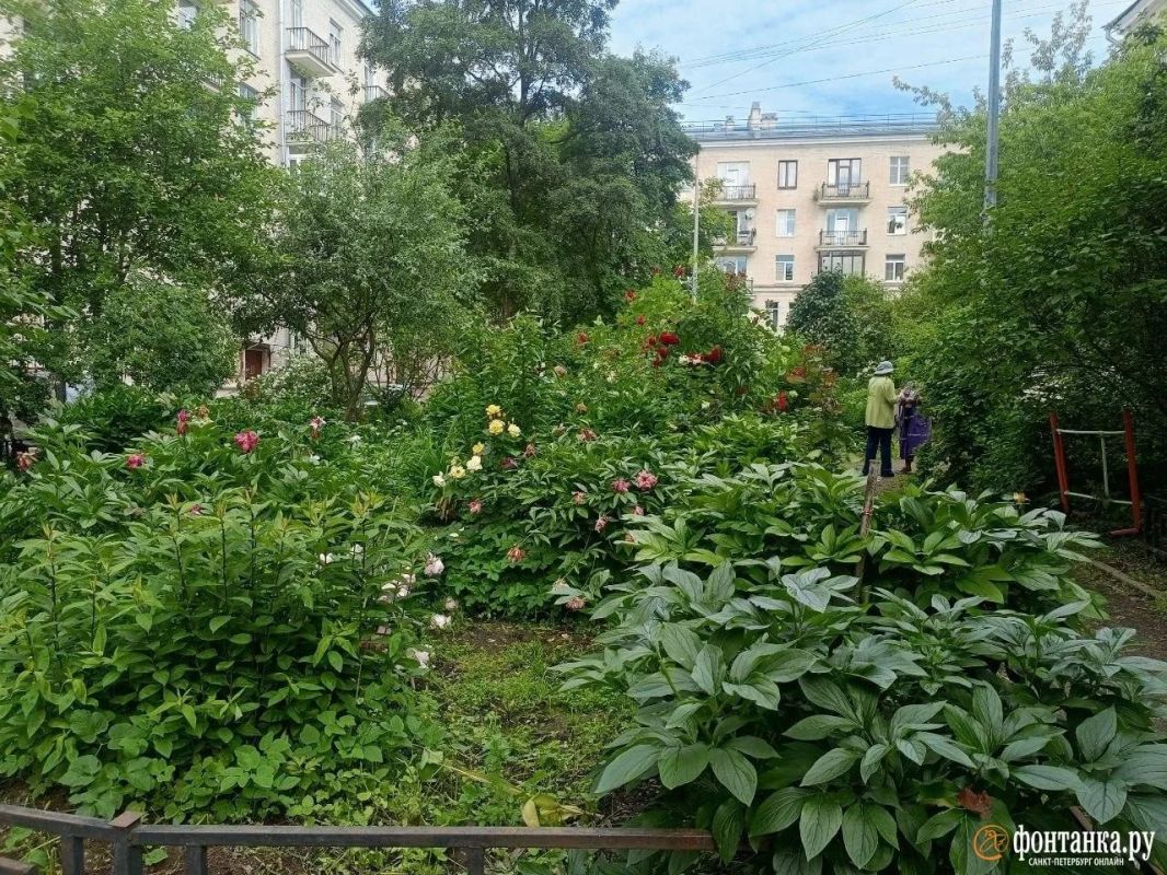 Благоустройство двора на Гаванской улице поставили на паузу