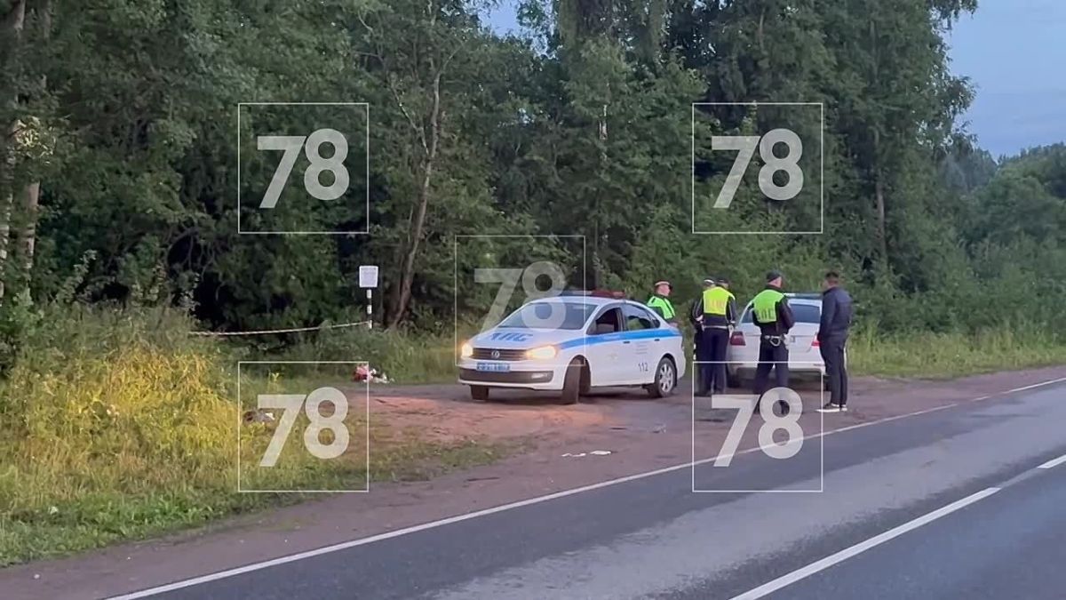 С предполагаемым убийцей 12-летней Миланы проводят следственные действия в Ленобласти В Тосненском районе Ленобласти поздно вечером 4 июля проводятся следственные действия с предполагаемым убийцей 12-летней Миланы, тело...