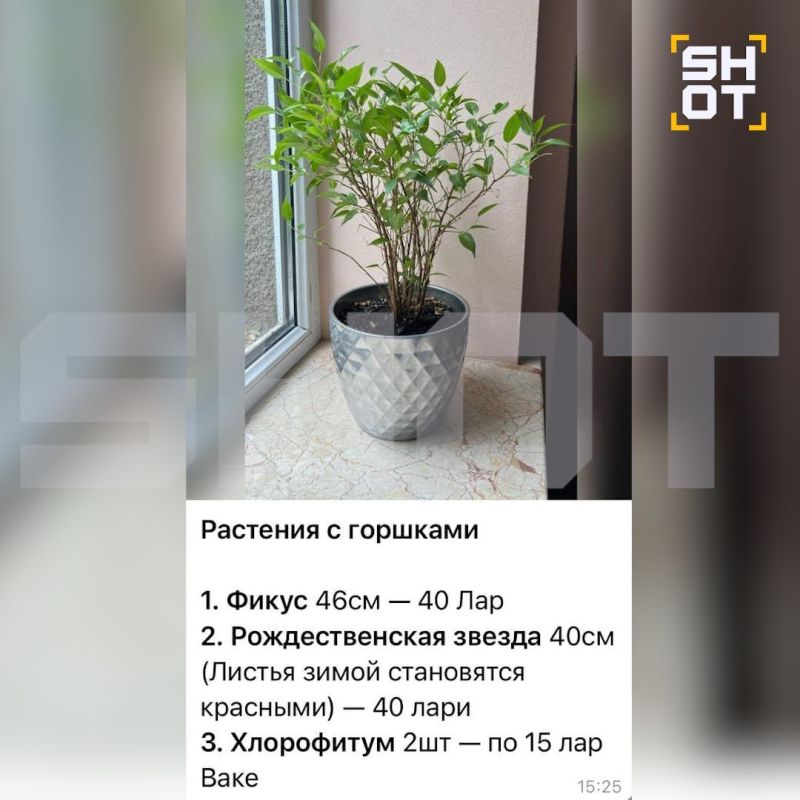 Старшего сына Юрия Шевчука разыскивают судебные приставы из-за долга по кредиту — по данным SHOT, уехавший из России Пётр Шевчук распродал в Грузии кастрюли, дуршлаг и прочие вещи и перебрался в Аргентину Старшего сына Юрия Шевчука разыскивают судебные приставы из-за долга по кредиту — по данным SHOT, уехавший из России Пётр Шевчук распродал в Грузии кастрюли, дуршлаг и прочие вещи и перебрался в Аргентину