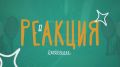 «Жирненькая», «истеричка», «животное»