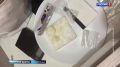 Полицейские задержали подозреваемых в торговле наркотиками