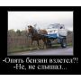 Самолёты на бензине и массовое сокращение рейсов – фейки или правда?