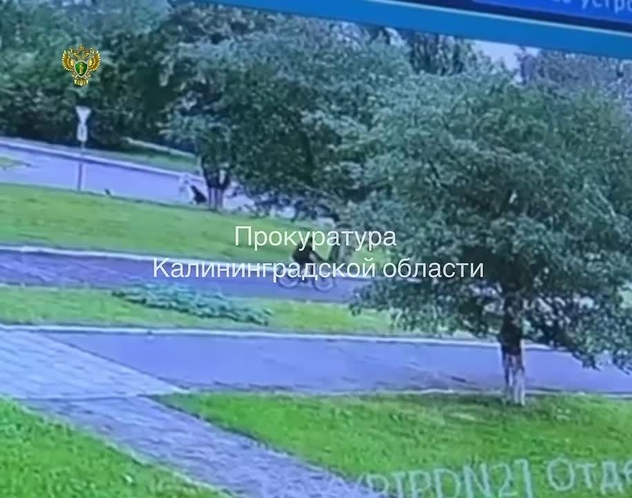 «Их время пришло»: пьяный лихач в Калининграде сбил мать с двумя детьми на тротуаре