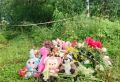 Всё вокруг замерло. Как садоводство под Тосно переживает убийство школьницы