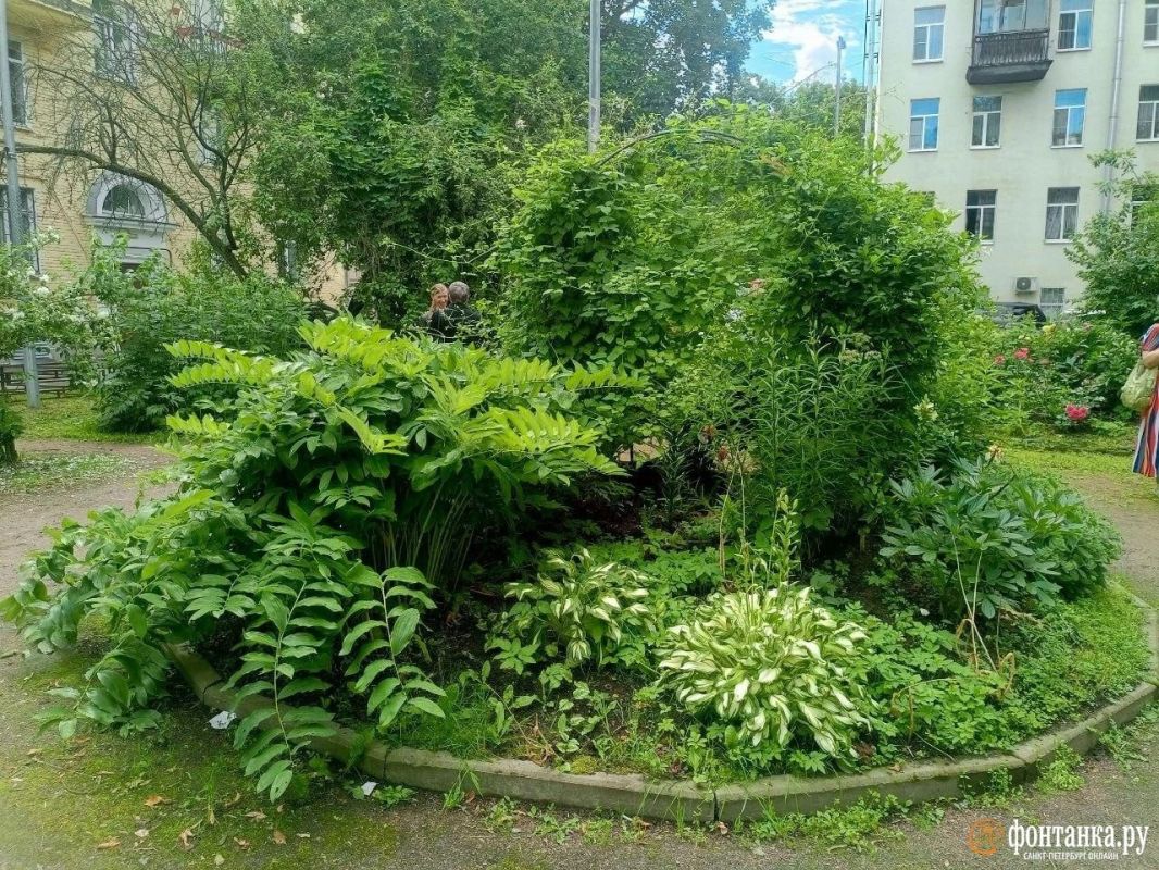 Оазис остается. В МО «Гавань» обсудили варианты компромисса благоустройства двора на Гаванской Оазис остается. В МО «Гавань» обсудили варианты компромисса благоустройства двора на Гаванской