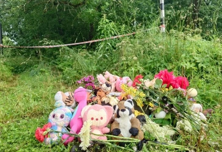 Всё вокруг замерло. Как садоводство под Тосно переживает убийство школьницы