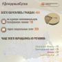 В Информационный центр СК России за прошедшие сутки всего обратилось граждан: 469