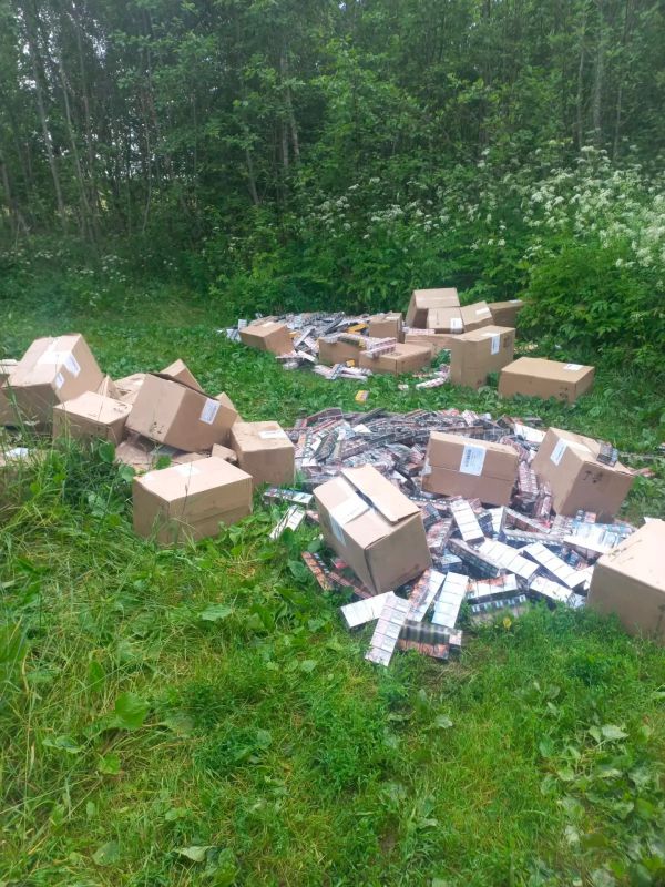 Таможенники накрыли канал контрабанды сигарет в Петербург Таможенники накрыли канал контрабанды сигарет в Петербург