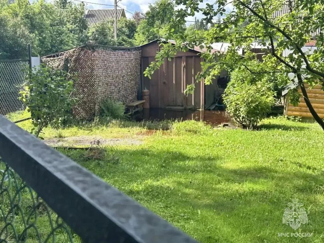 Бобры затопили два СНТ в Ломоносовском районе Бобры затопили два СНТ в Ломоносовском районе