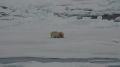 �������� ��������� � ������ � ��������� ���������� �� ��������� ������-42�