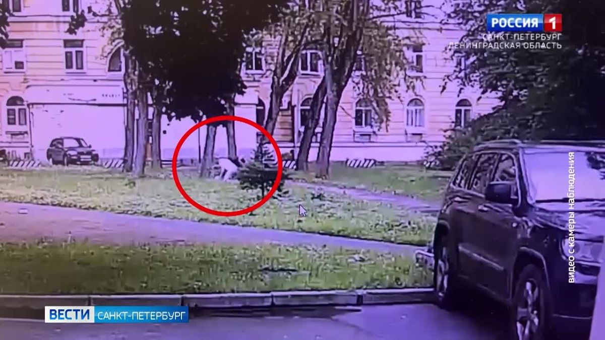В Красногвардейском районе собака набросилась на маленькую девочку