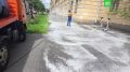 У метро «Автово» погиб 61 голубь