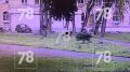 На девочку в Красногвардейском районе набросился ротвейлер