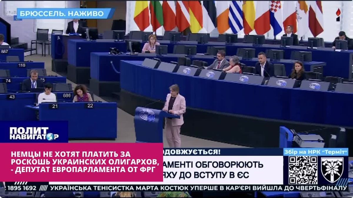 Немцы больше не хотят оплачивать роскошь украинских олигархов – депутат Европарламента от ФРГ
