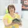 Черепаха-оракул из Питера предсказала победителя матча Мексика — Англия на ЧМ по футболу