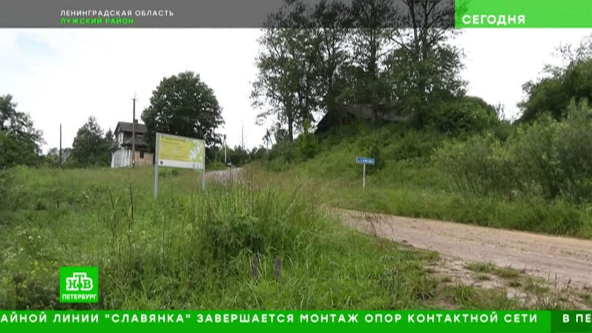 Стоки нечистот с фермы и скотомогильника могли стать причиной замора рыбы на реке Сабе