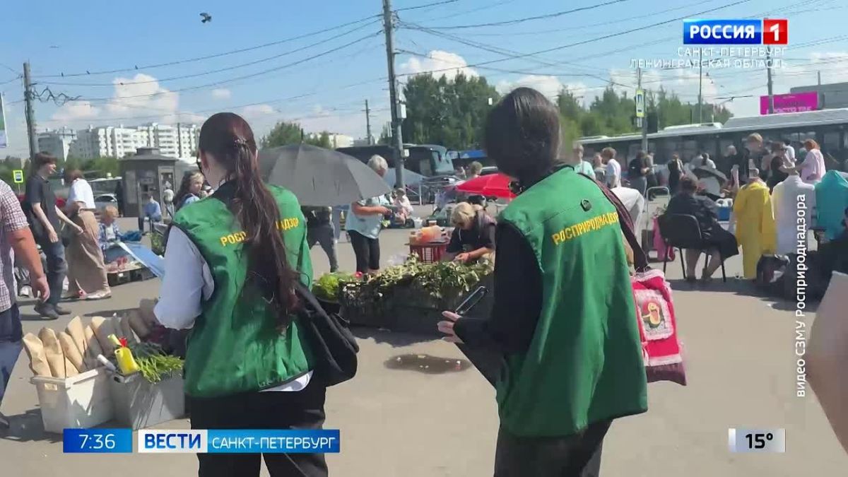 Продавца красноухих черепах привлекли к административной ответственности