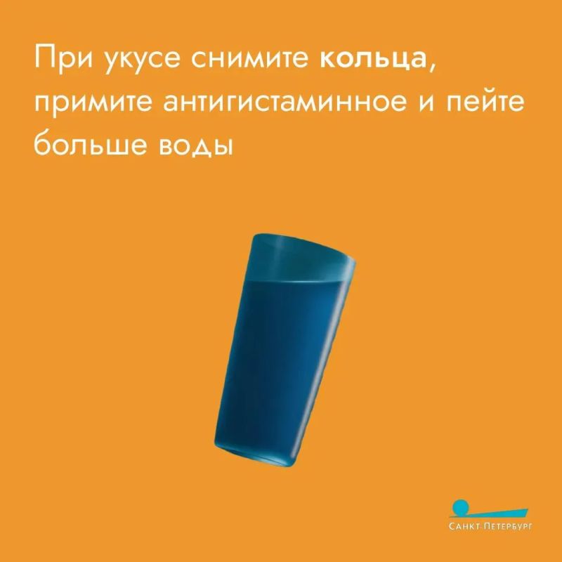 Пресмыкающиеся любят высокую траву – в ней можно спрятаться Пресмыкающиеся любят высокую траву – в ней можно спрятаться