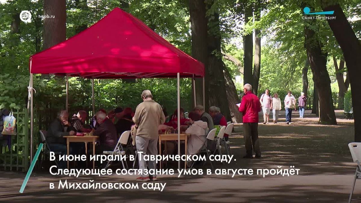В Летнем саду прошёл традиционный турнир по шахматам