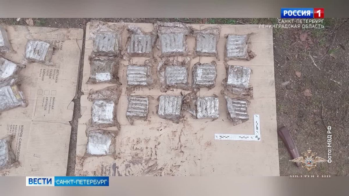 В Ленобласти задержали наркокурьеров, маскировавшихся под дорожных рабочих