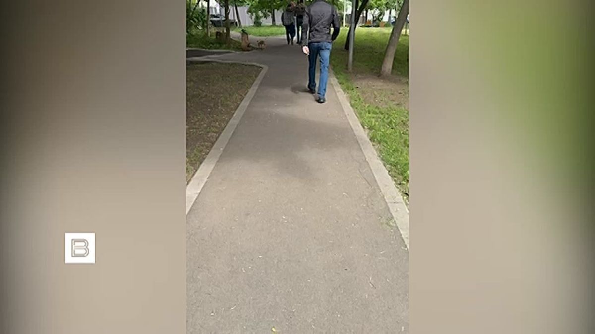 Сотрудники ФСБ предотвратили теракт против высокопоставленного военнослужащего Минобороны России
