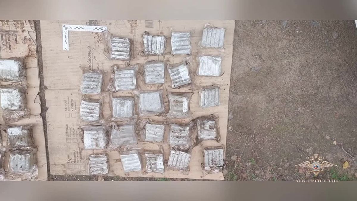 В Ленобласти поймали наркокурьеров, которые выдавали себя за дорожных рабочих