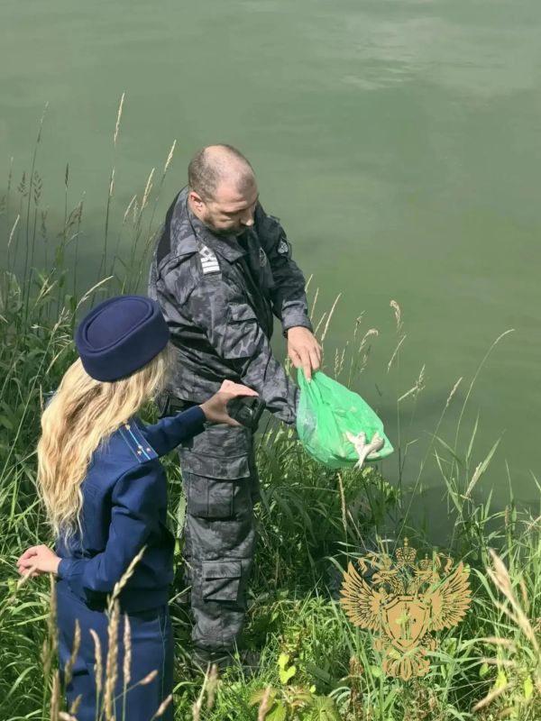 Природоохранные прокуроры выезжали к берегам Аннинского озера в Ломоносовском районе, где произошла массовая гибель рыбы Природоохранные прокуроры выезжали к берегам Аннинского озера в Ломоносовском районе, где произошла массовая гибель рыбы