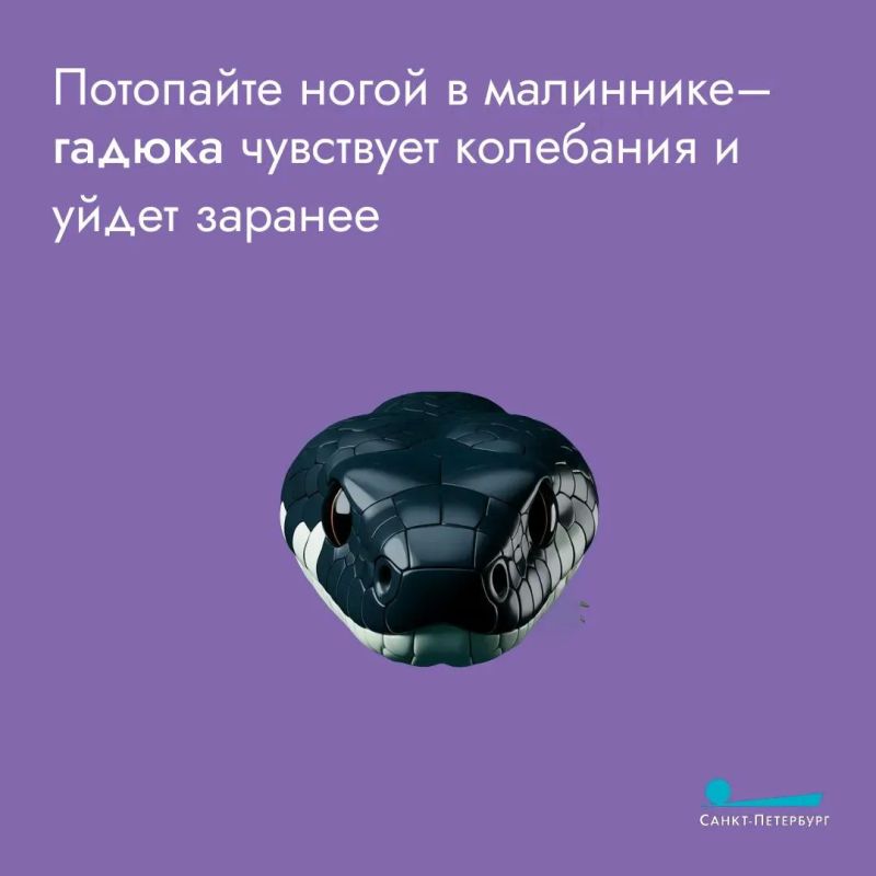 Пресмыкающиеся любят высокую траву – в ней можно спрятаться Пресмыкающиеся любят высокую траву – в ней можно спрятаться