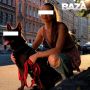 Собака съела закладку в центре Питера