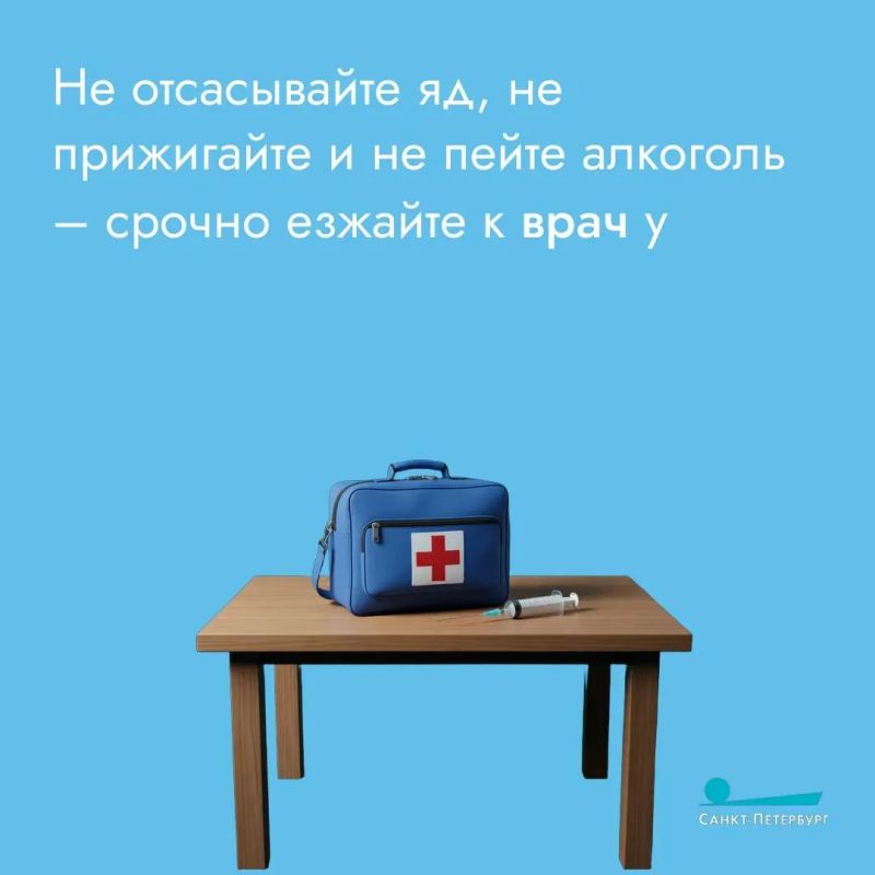 Пресмыкающиеся любят высокую траву – в ней можно спрятаться Пресмыкающиеся любят высокую траву – в ней можно спрятаться