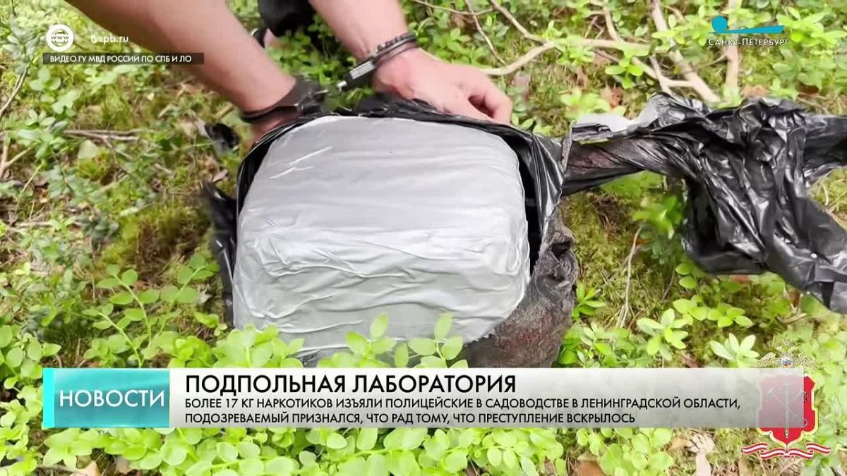 Полиция Ленобласти пресекла работу нарколаборатории в садоводстве «Чаща»