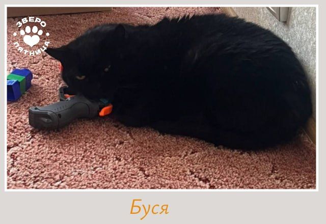 Что бы ни происходило вокруг, важно одно — пятница всё равно наступает Что бы ни происходило вокруг, важно одно — пятница всё равно наступает