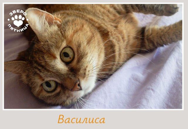 Что бы ни происходило вокруг, важно одно — пятница всё равно наступает Что бы ни происходило вокруг, важно одно — пятница всё равно наступает