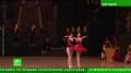 Мастерство, грациозность и талант