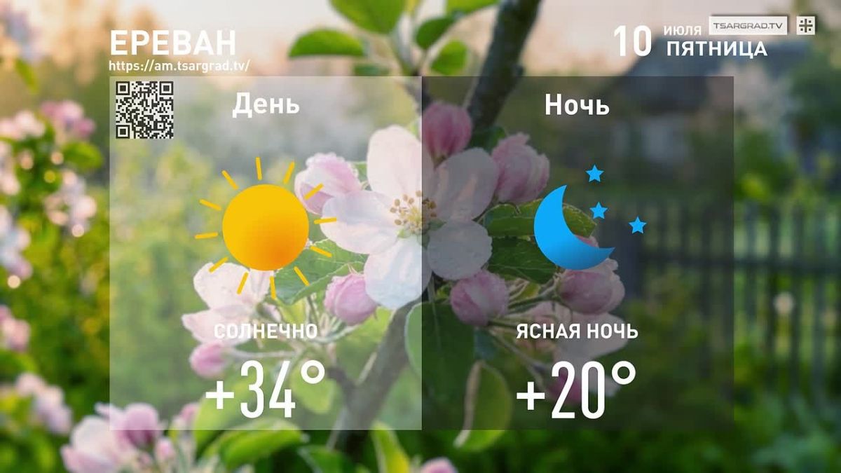 Я люблю лесные травы.
Ароматные