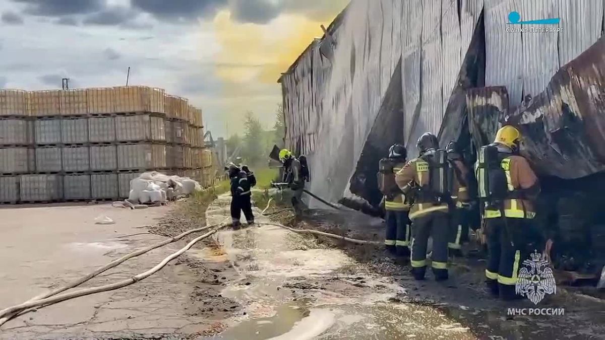 Пожар в Колпинском районе Петербурга, вспыхнувший днём 10 июля, ликвидирован