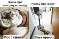 Жители Петербурга, Волгоградской и Самарской областей, теперь вы знаете что делать
