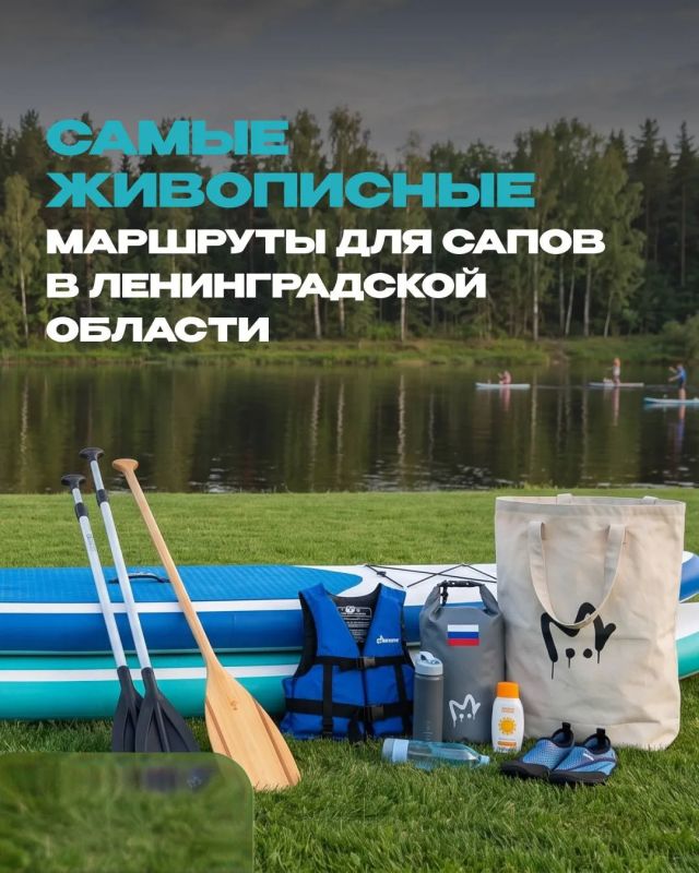 Сапы сами себя не выгуляют