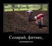 «Кусачая» картошка – цены взлетели вдвое