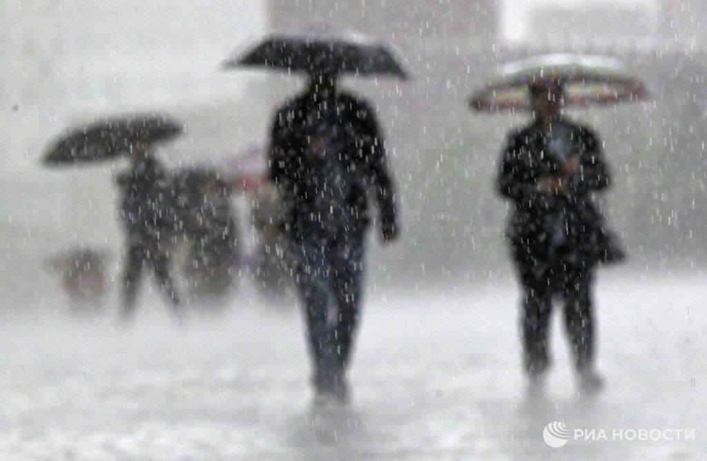 Около 42% месячной нормы осадков может выпасть в Центральной России за воскресенье и понедельник, сообщил синоптик