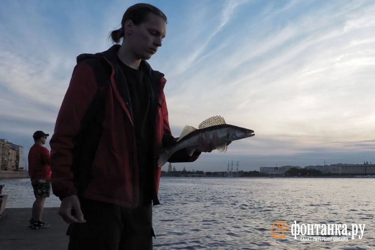 «Вышел из метро — и уже у воды» «Вышел из метро — и уже у воды»