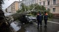 За сутки с дорог Ленобласти убрали 517 поваленных ураганом деревьев