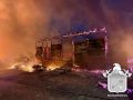 В Гатчинском округе ночью из пожара спасли 170 коров