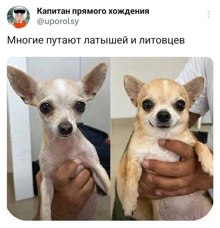 Присоединяйтесь к нашему каналу Актуальные анекдоты! Присоединяйтесь к нашему каналу Актуальные анекдоты!