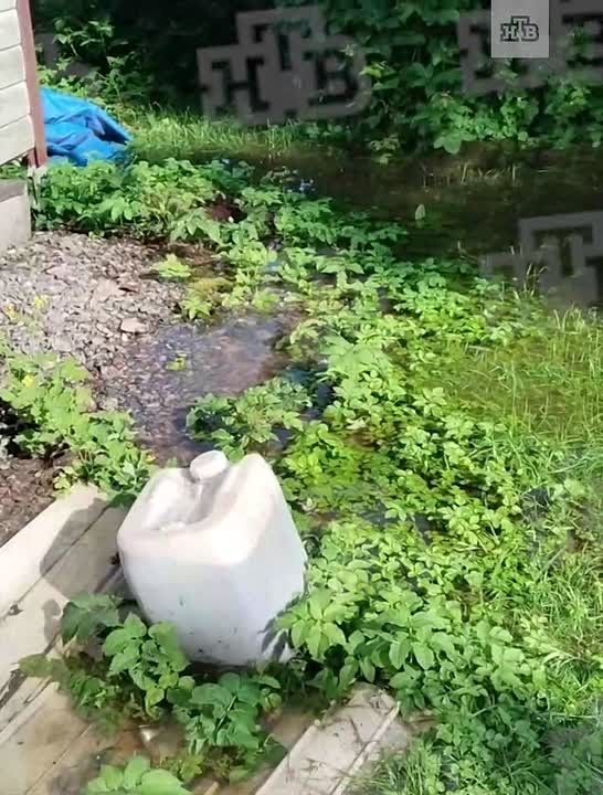 В СНТ «Рыжики» во Всеволожском районе огороды и лужайки превратились в озера. Здесь затопило 90 участков из-за переполнения карьера в промзоне «Русское поле – 2». По словам председателя СНТ Алёны Фоминой, вода добралась и...