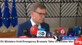 Глава МИД Германии Вадефуль заявил, что немцы не должны в одиночку тянуть войну против России