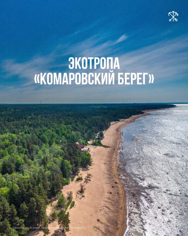 В Петербурге оборудовано 7 экологических троп, которые проходят по особо охраняемым природным территориям